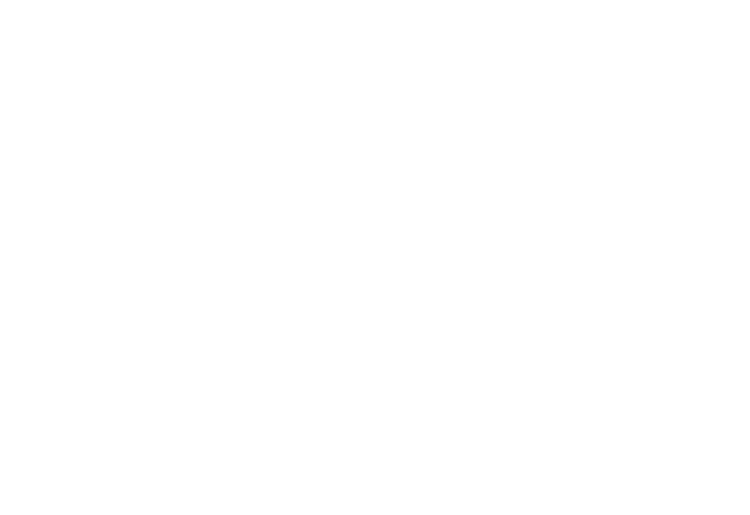 The Social Collective