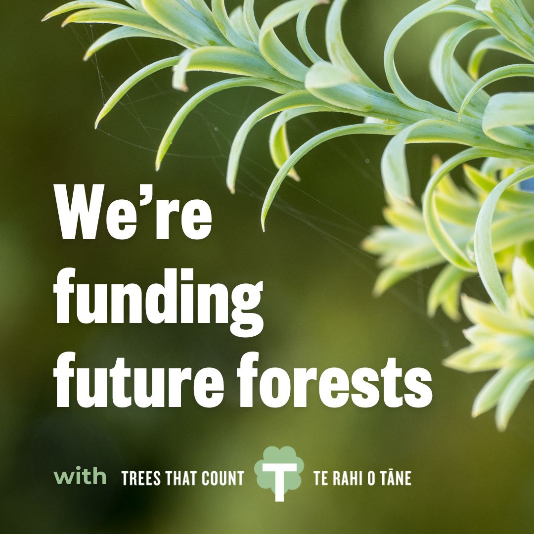 Funding future native forests across New Zealand with Trees That Count