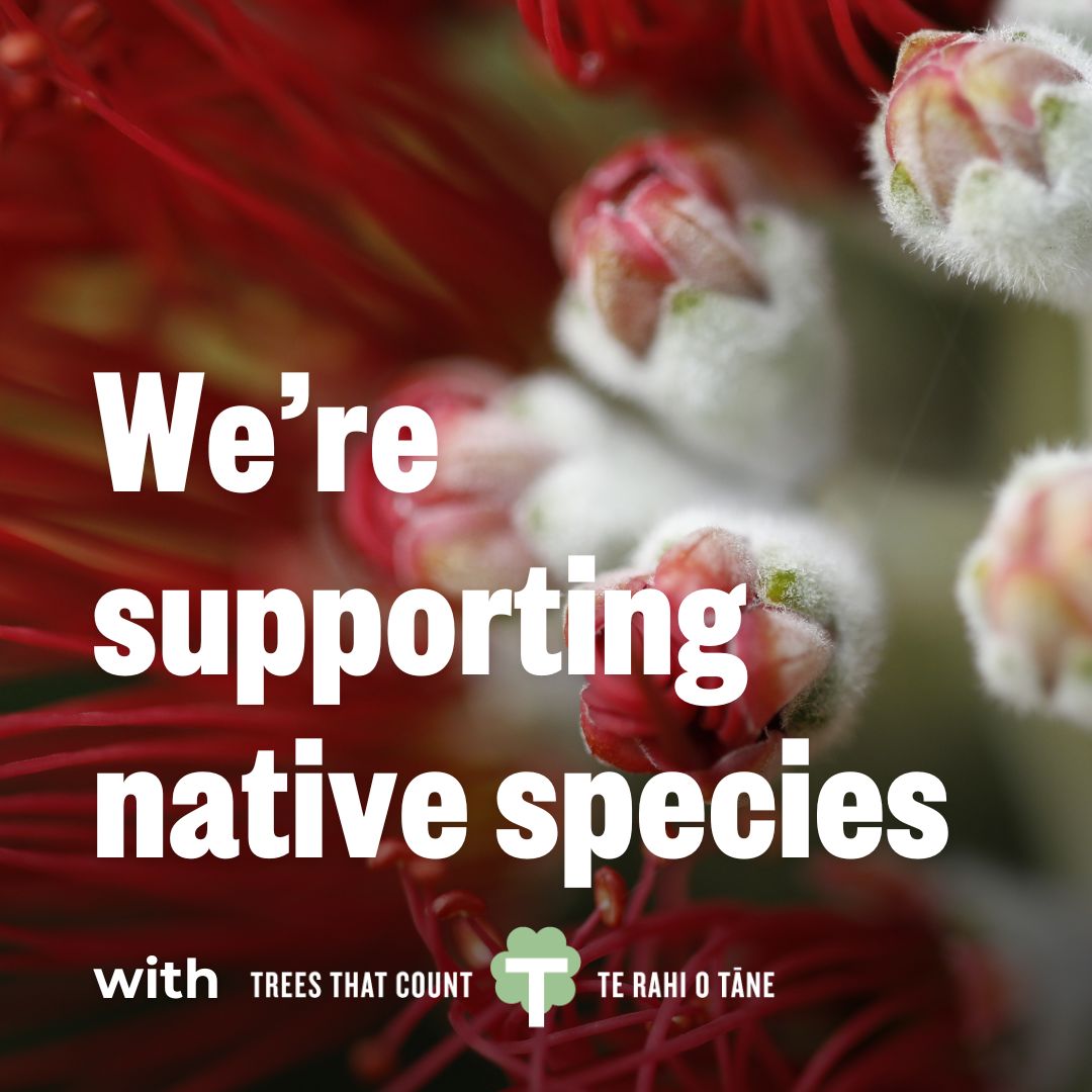 Supporting native species and biodiversity in New Zealand