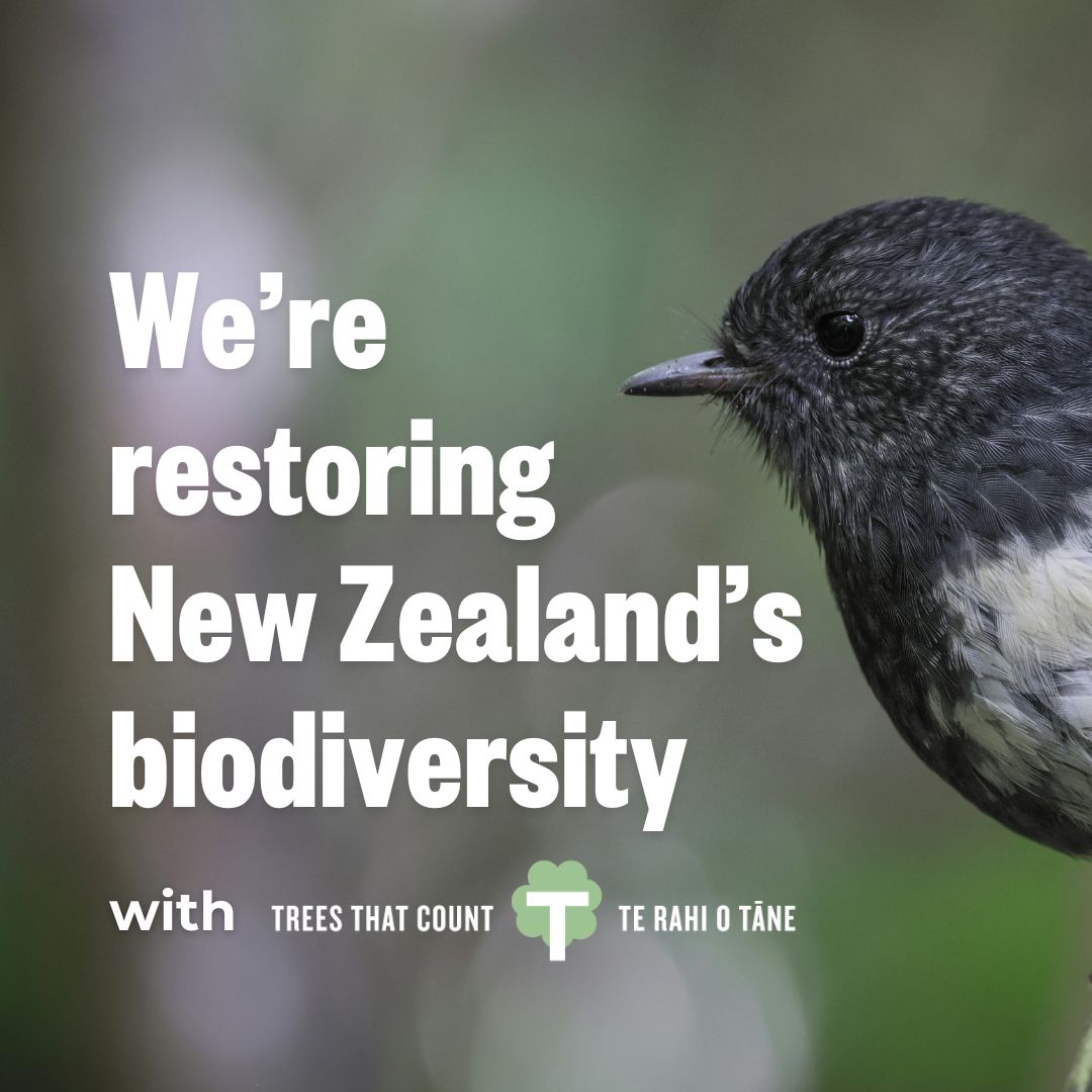 Restoring New Zealand's native biodiversity with Trees That Count